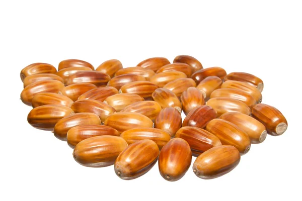 Beyaz bir arka plan üzerinde birkaç meşe palamutları