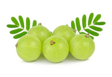 Beyaz arka planda izole edilmiş Hint Bektaşi üzümü