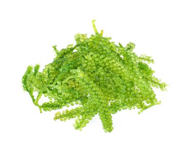 Beyaz sırtüstü izole edilmiş deniz yosunu (yeşil havyar)