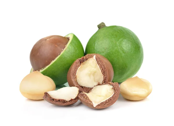 Nueces Macadamia Aisladas Sobre Fondo Blanco — Foto de Stock