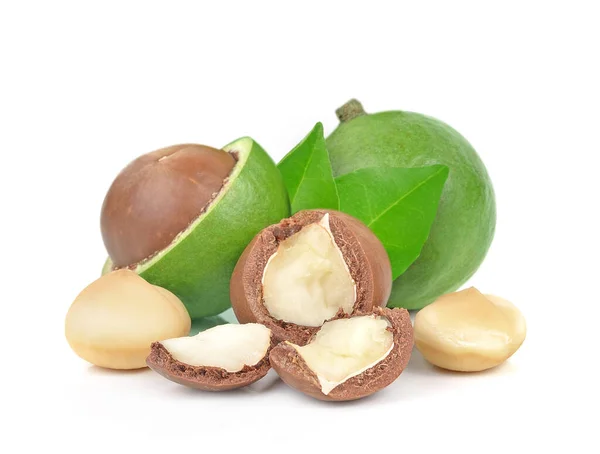 Орехи Макадамии Белом Фоне — стоковое фото