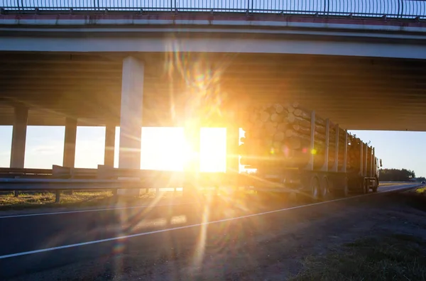 Un camión de madera lleva el bosque a lo largo de la carretera sobre el fondo del puente y el sol, industrial —  Fotos de Stock