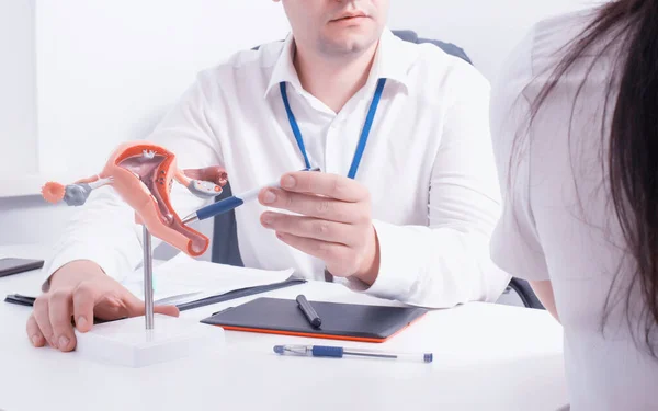 Bir jinekolog, kadın üreme sisteminin bir modelinde organ patolojisi gösteriyor. Cinsel enfeksiyon konsepti, kandiyoz ve trikomonez.