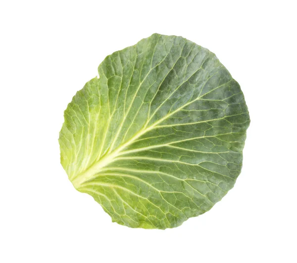 Green Cabbage Leaf White Background Isolate Close Farmers — Stock Photo, Image