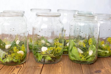 Salatalıkları korumak için baharatlı, sarımsaklı ve turşulu kavanozlar. Baharatlı kavanozlar ahşap arka planda, kış için muhafaza, aperatif