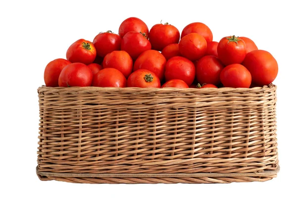 Wiklinowy Kosz Czerwonymi Pomidorami Białym Tle Izolować Świeże Warzywa Ekologiczne — Zdjęcie stockowe