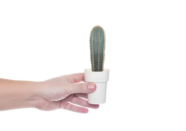 Man holding a cactus in his hand on a white background, isolate. Close-up — Stock Photo, Image