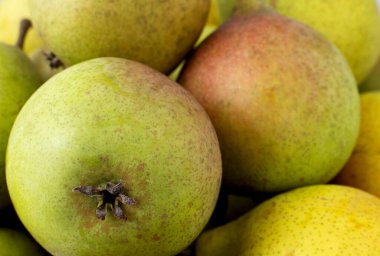 Kırmızı kenarlı tatlı armutlar, arka plan, makro. Uzayı kopyala