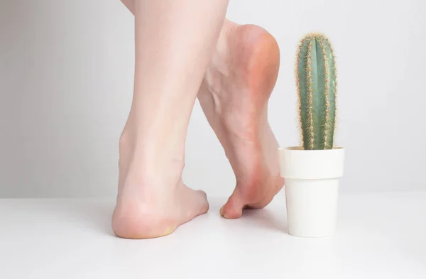 白い背景に少女の足の近くにサボテン 人間の足や足の痛みや不快感をステッチの概念 かかとの病気 裸足で — ストック写真