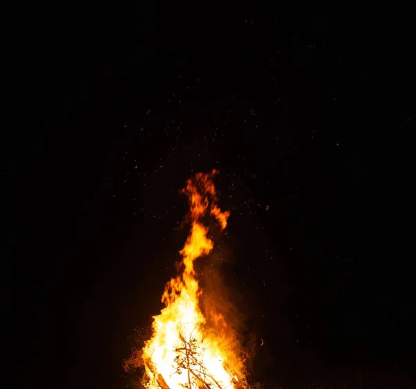 Big beautiful bonfire in the night forest in the holiday bath. Tourism and recreation in the forest against the background of the night sky