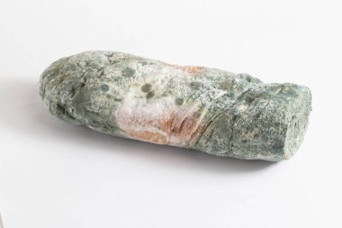 Beyaz arka planda yeşil küflü ekmek, izole. Küflü ekmek, makro, bakteri