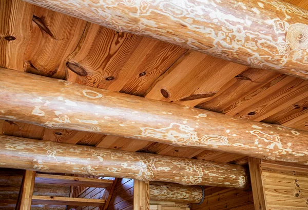 Carpintaria Tecto Numa Casa Campo Ecológica Materiais Construção Madeira Quarto — Fotografia de Stock