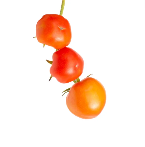 Zweig Mit Drei Roten Reifen Tomaten Auf Weißem Hintergrund Isolieren — Stockfoto