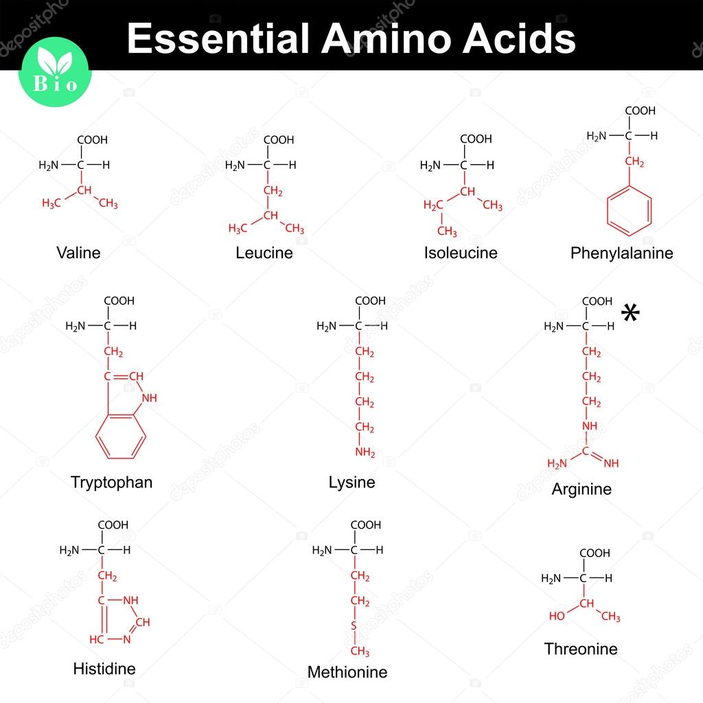 essentiele aminozuren essentiele aminozuren