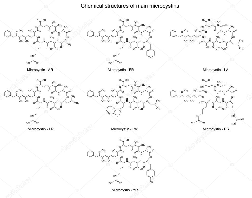 ペプチドストックベクター ロイヤリティフリーペプチドイラスト Depositphotos
