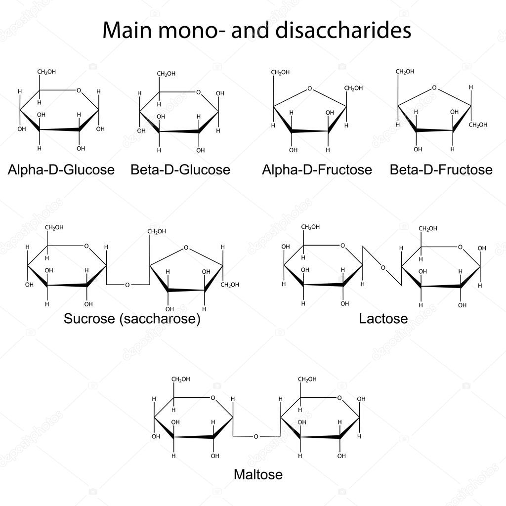 monosackarider monosackarider