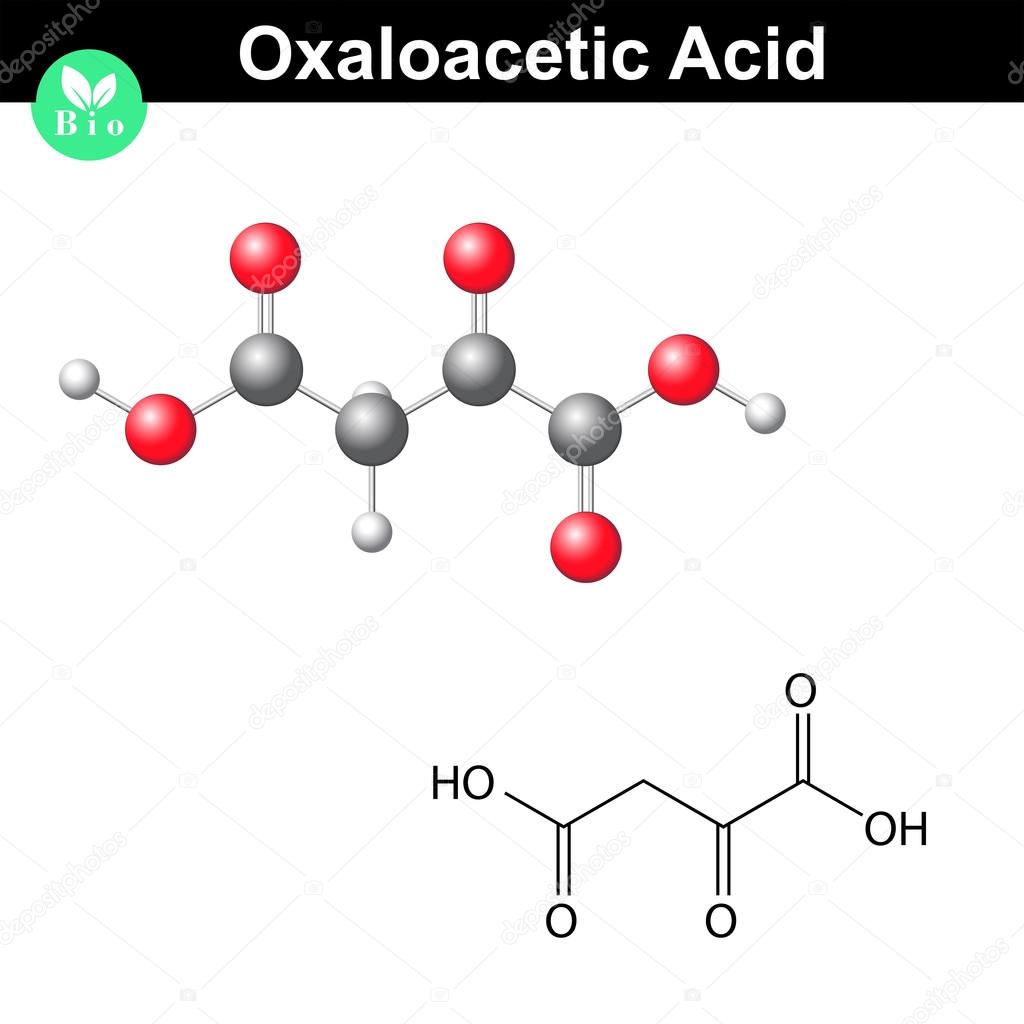 オキサロ酢酸 Oxaloacetic acid JapaneseClass.jp