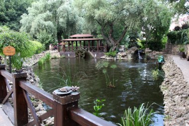 Kamensk-Shakhtinsky Rostov bölgesi. Eski köy. Manzara parkının bölgesi 