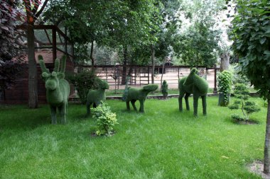 Kamensk-Shakhtinsky Rostov bölgesi. Eski köy. Manzara parkının bölgesi 