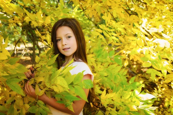 Portrait of a girl fall — Stock Photo, Image