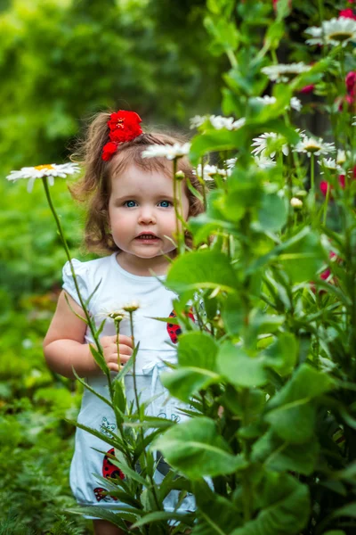 Retrato de uma menina bonita entre as flores — Fotografia de Stock
