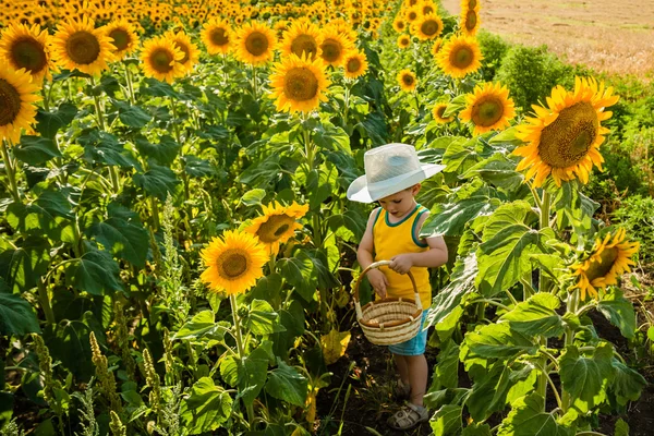 Childhood in the sunflowers — Stock Photo, Image