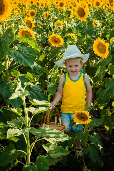 Childhood in the sunflowers — Stock Photo, Image