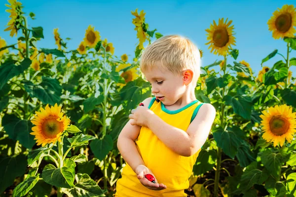 Childhood in the sunflowers — Stock Photo, Image