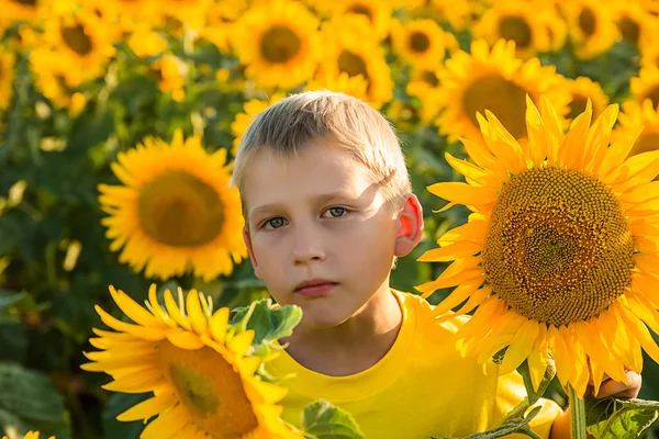 Childhood in the sunflowers — Stock Photo, Image