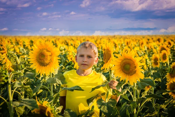 Childhood in the sunflowers — Stock Photo, Image