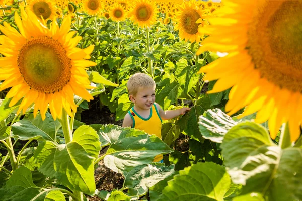 Childhood in the sunflowers — Stock Photo, Image