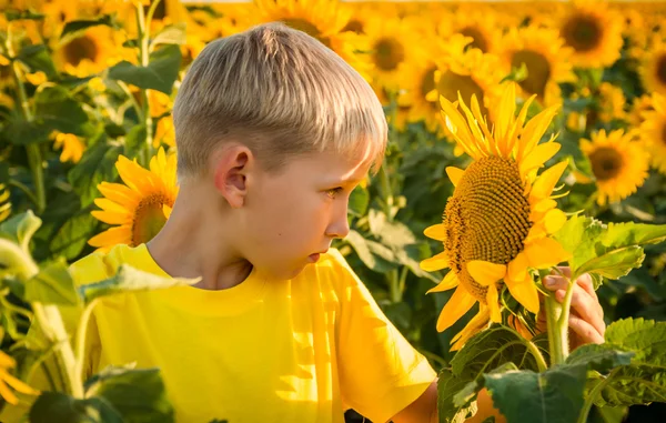 Childhood in the sunflowers — Stock Photo, Image