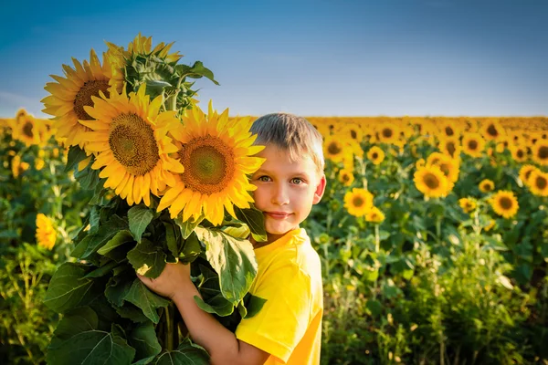 Childhood in the sunflowers — Stock Photo, Image