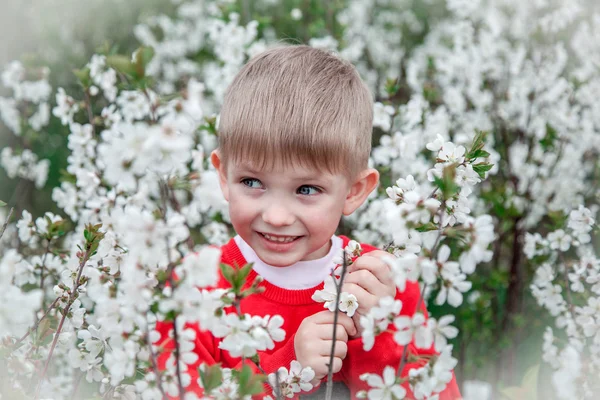 Retrato de um menino em um jardim exuberante — Fotografia de Stock