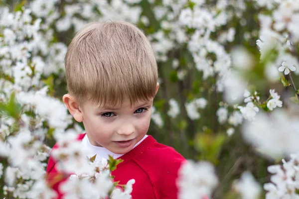 Retrato de um menino em um jardim exuberante — Fotografia de Stock