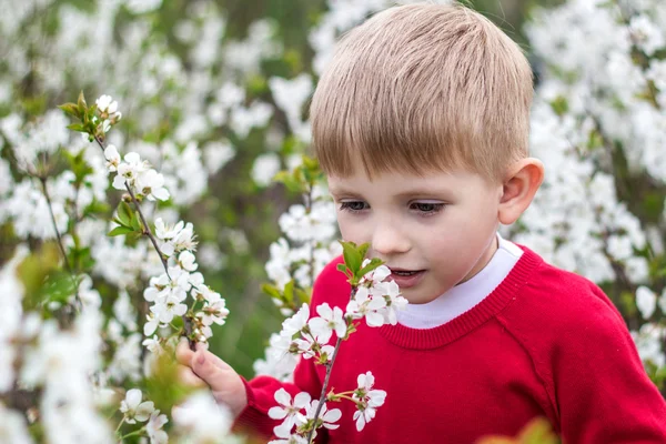 Retrato de um menino em um jardim exuberante — Fotografia de Stock