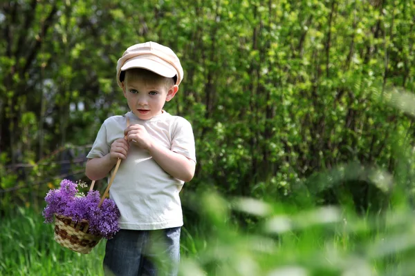 The boy carries a lilac in a basket — Stock Photo, Image