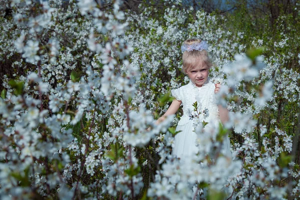 Koppla av i trädgården bland blommande körsbär träd — Stockfoto