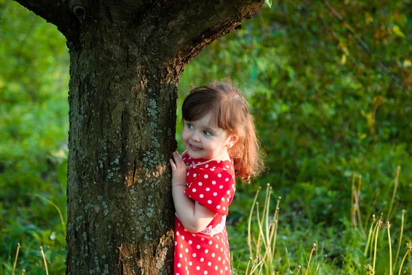 Menina olha para fora de trás de uma árvore — Fotografia de Stock