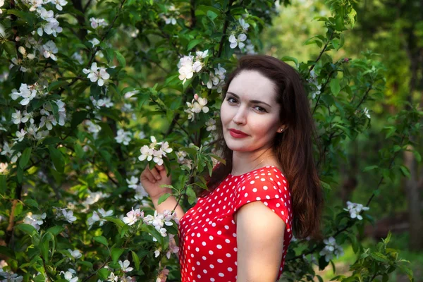 Portret van een mooi meisje in de weelderige appelboomgaard — Stockfoto