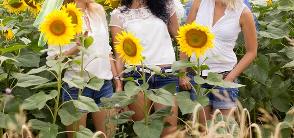 Дівчата Позують Серед Поля Соняшників — стокове фото
