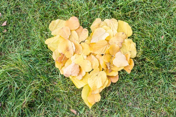 Hart Gemaakt Van Herfstbladeren Het Gras — Stockfoto