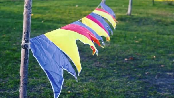 Mnohobarevné Vlajky Třepetající Větru — Stock video