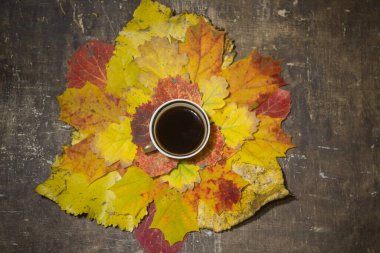 Sonbahar yapraklarında bir fincan kahve.