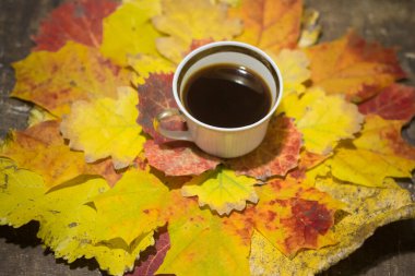 Sonbahar yapraklarında bir fincan kahve.