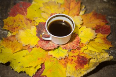 Sonbahar yapraklarında bir fincan kahve.