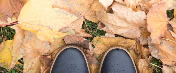 Bordo Delle Scarpe Sulle Foglie Autunno — Foto Stock