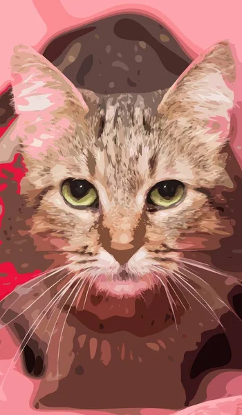 Kedi Suratlı Yaklaş — Stok Vektör