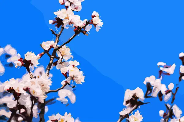 Flores Cerezo Blanco Sobre Fondo Cielo Azul — Vector de stock