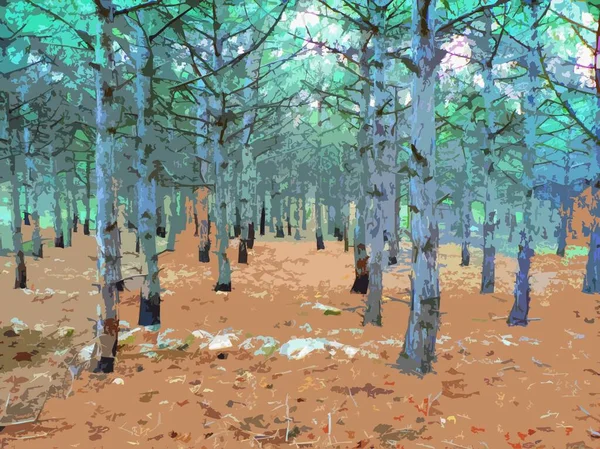 Ürkütücü Gri Orman Çam Ağaçları — Stok Vektör